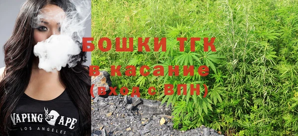 молекула духа Арсеньев