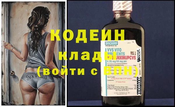 молекула духа Арсеньев